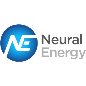 Neural Energy