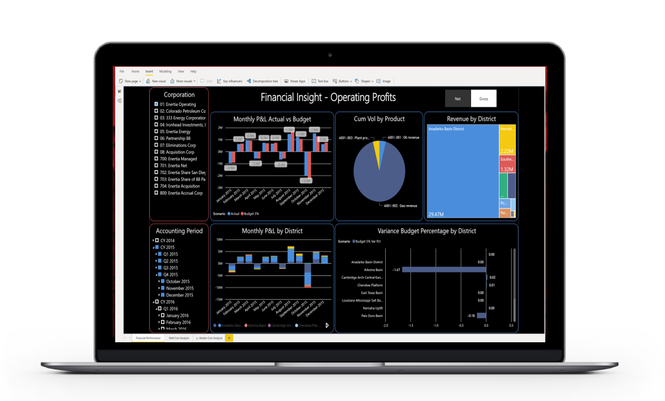 Enertia Insights Reporting BI