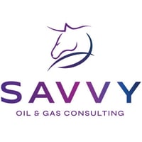 Savvy Box Format For App